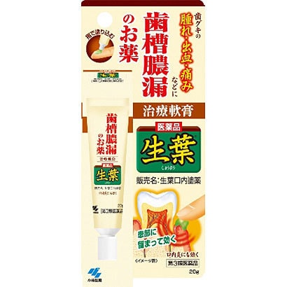 쇼요 구강 도포제 20g 일본 잇몸약 치주염 구내염 치료제